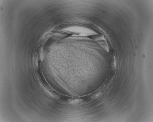 X0000081560452200701291154