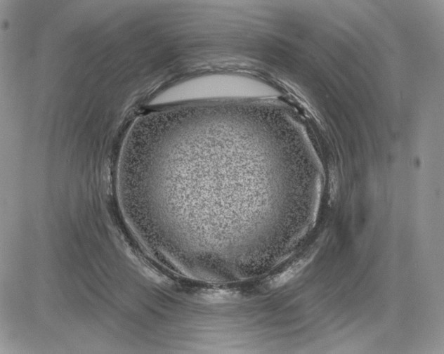 X0000081560453200701291154