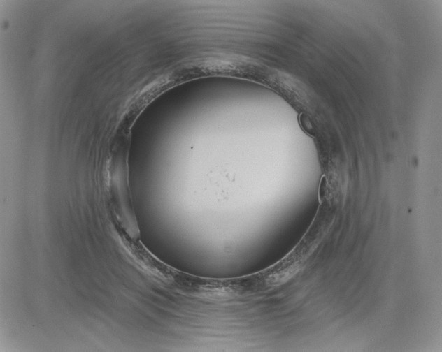 X0000081560454200701291154