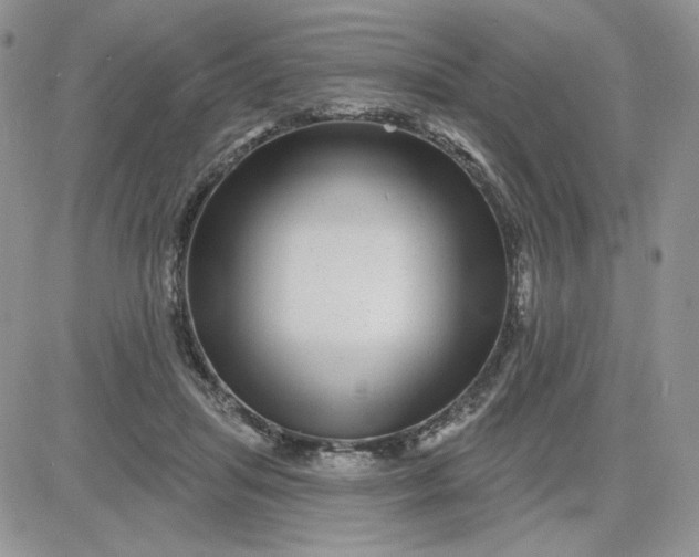 X0000081560455200701291154