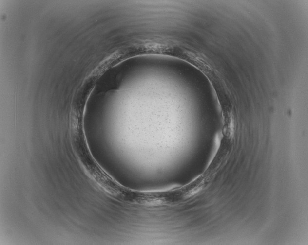 X0000081560456200701291154