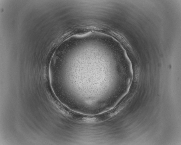 X0000081560457200701291154