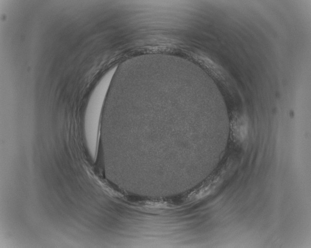 X0000081560458200701291154