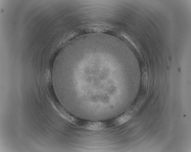 X0000081560459200701291154