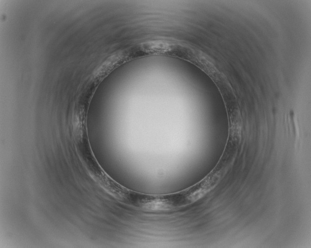 X0000081560460200701291154