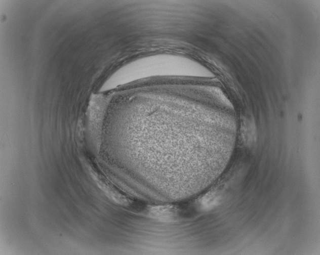 X0000081560461200701291154