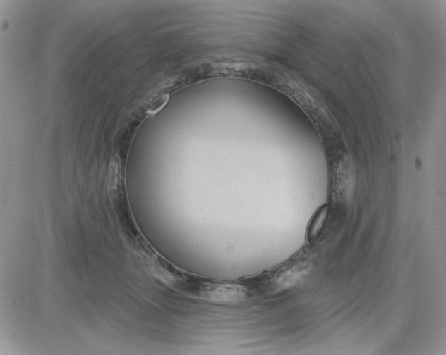 X0000081560463200701291154