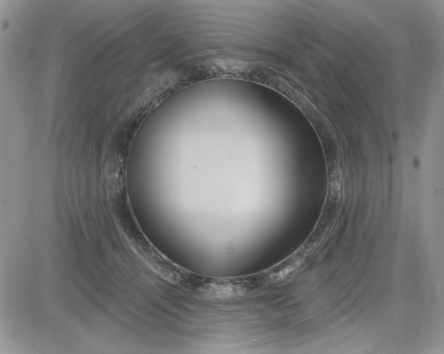 X0000081560464200701291154