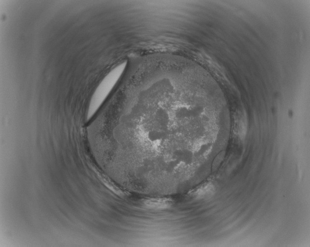 X0000081560465200701291154