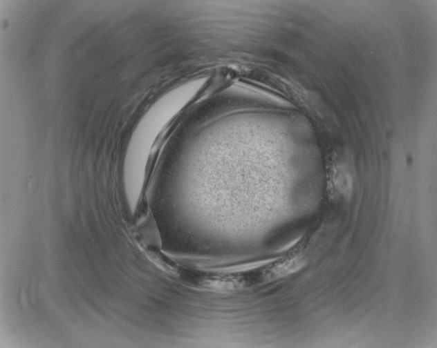 X0000081560466200701291154