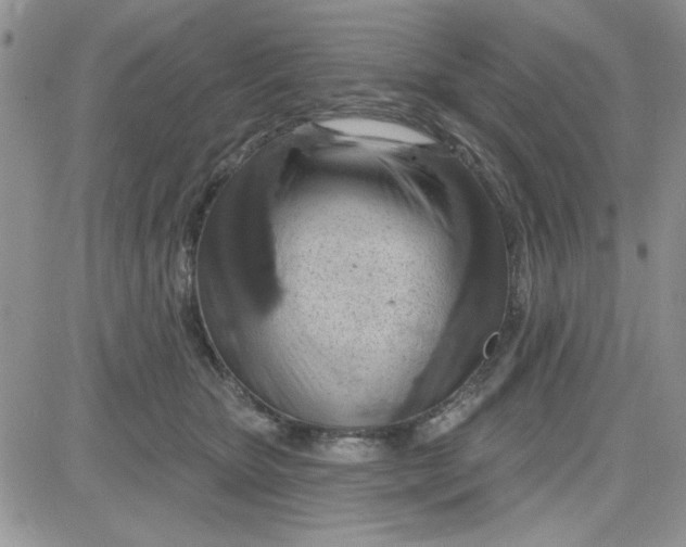 X0000081560467200701291154