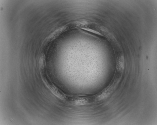 X0000081560468200701291154