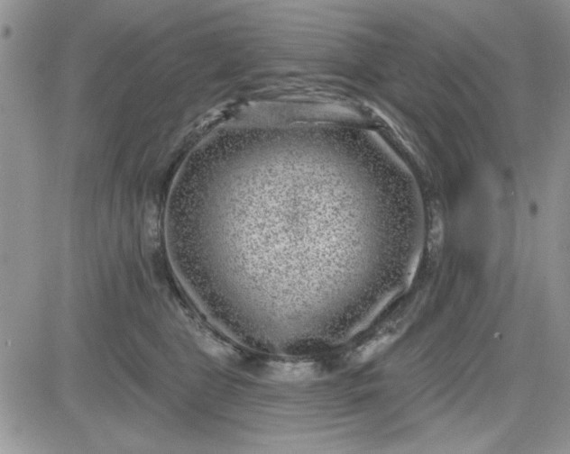 X0000081560469200701291154