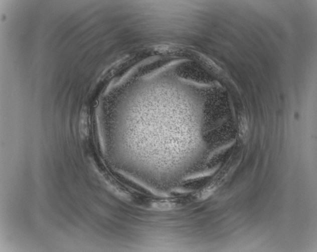 X0000081560470200701291154