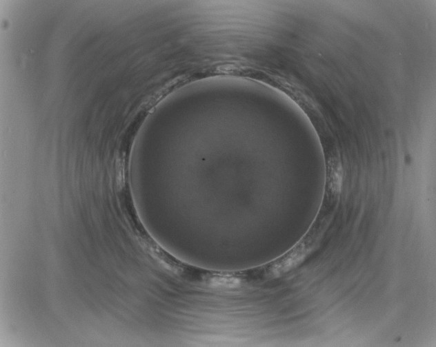 X0000081560471200701291154