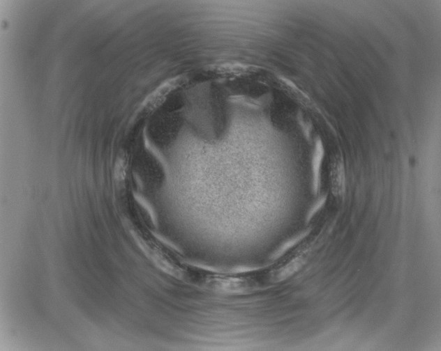 X0000081560472200701291154