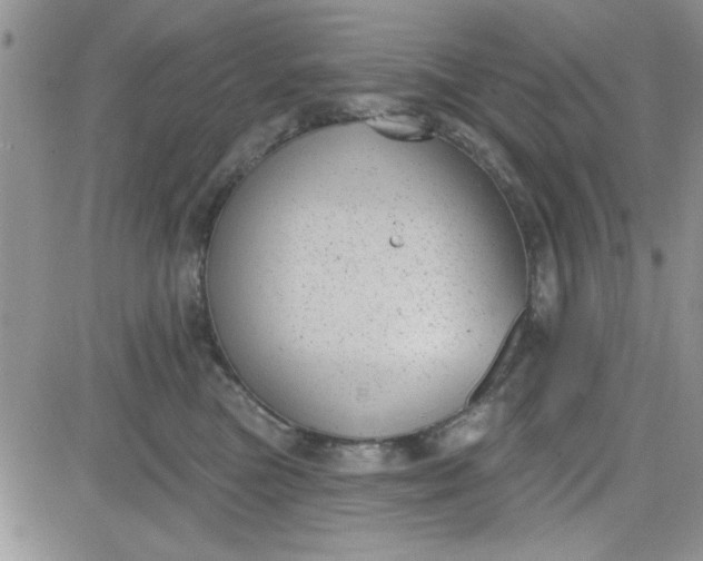 X0000081560473200701291154