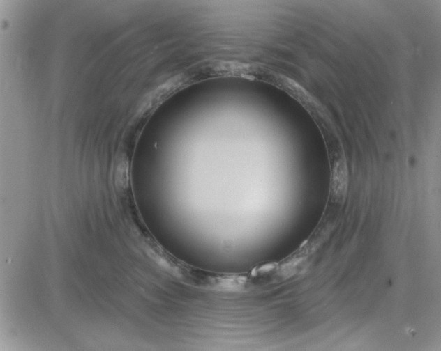 X0000081560474200701291154