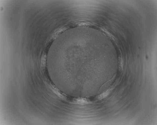 X0000081560475200701291154