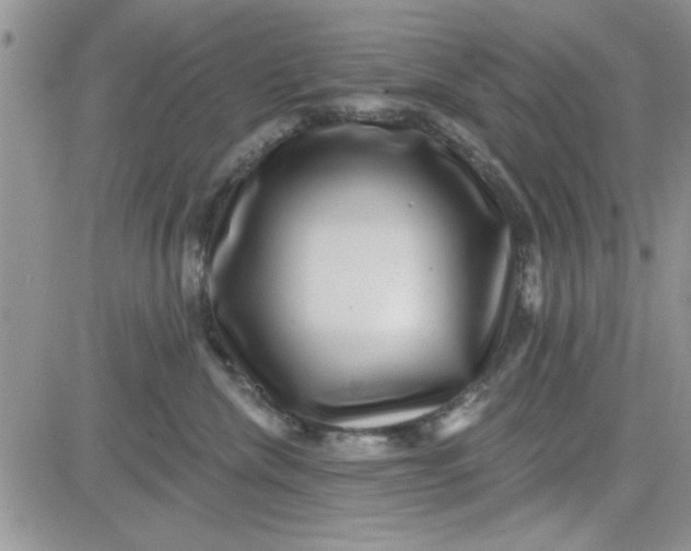 X0000081560476200701291154