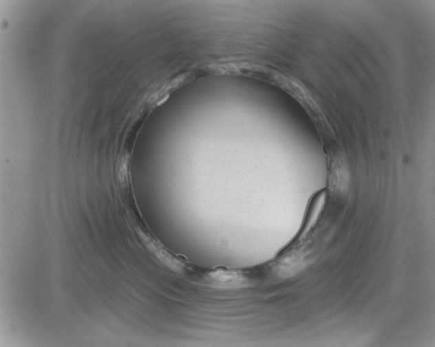 X0000081560477200701291154