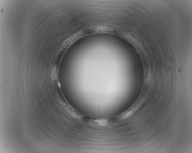 X0000081560478200701291154