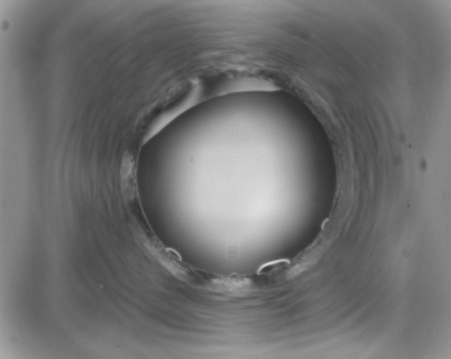 X0000081560480200701291154