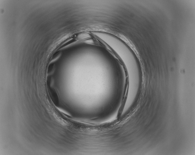 X0000081560481200701291153