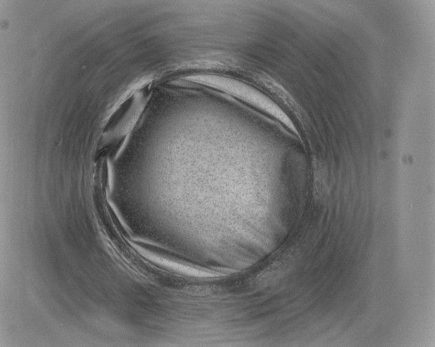 X0000081560482200701291153