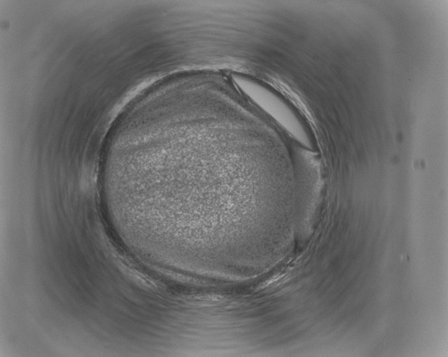 X0000081560483200701291153