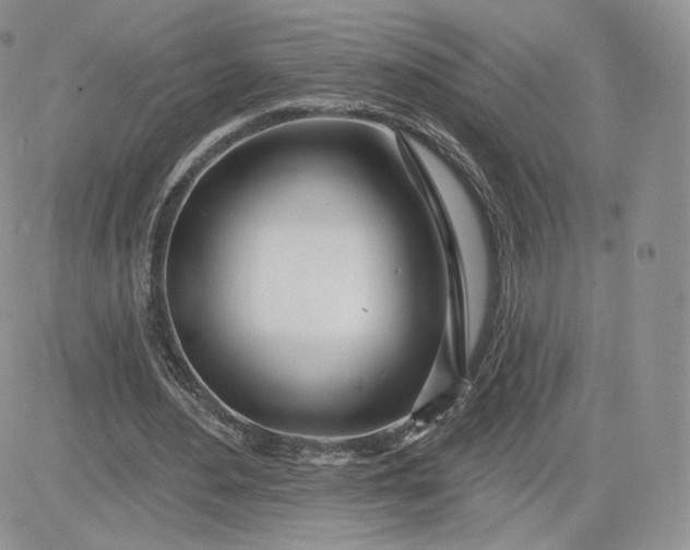 X0000081560484200701291153