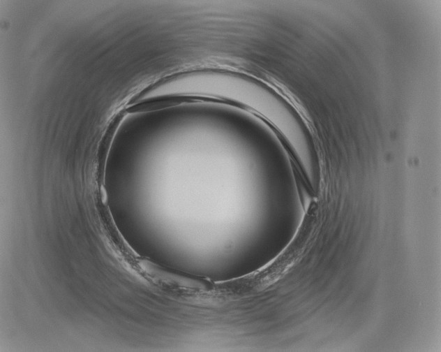 X0000081560485200701291153