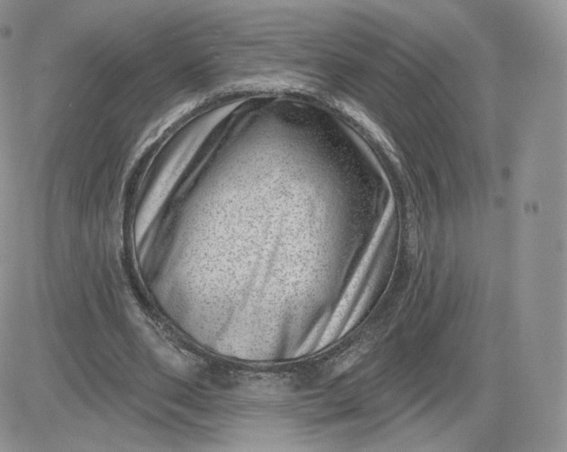 X0000081560486200701291153