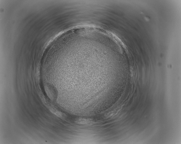 X0000081560487200701291153