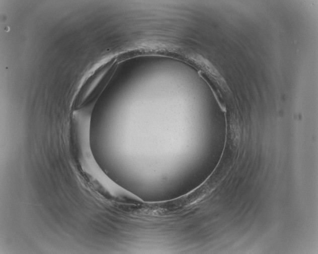 X0000081560488200701291153