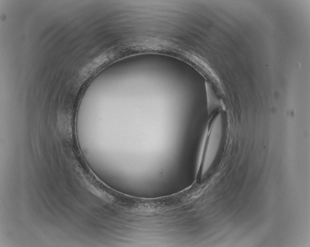 X0000081560489200701291153