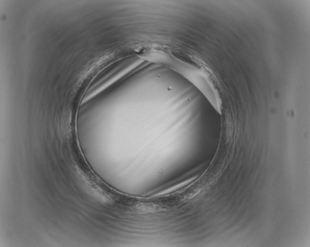 X0000081560490200701291153