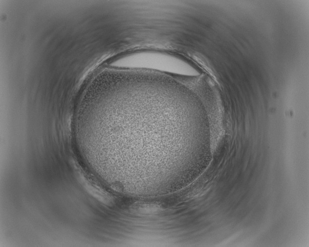 X0000081560491200701291153