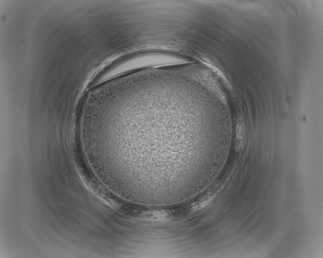 X0000081560492200701291153