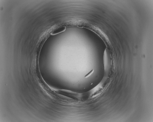 X0000081560493200701291153