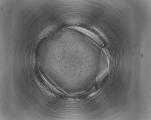 X0000081560494200701291153