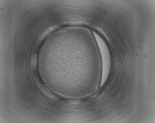 X0000081560495200701291153