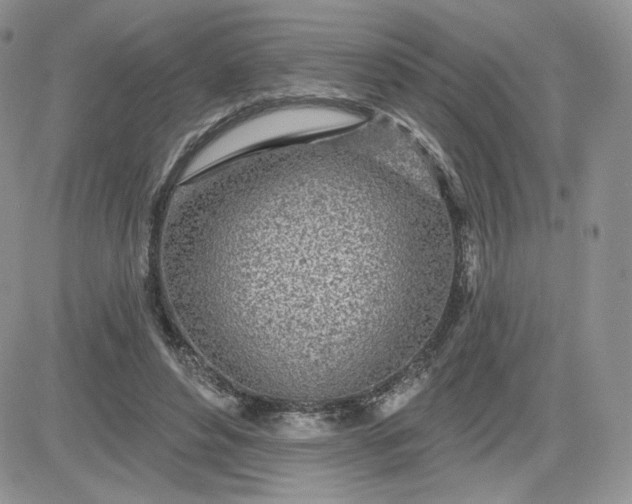 X0000081560496200701291153