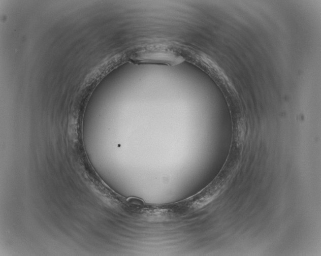 X0000081560497200701291153