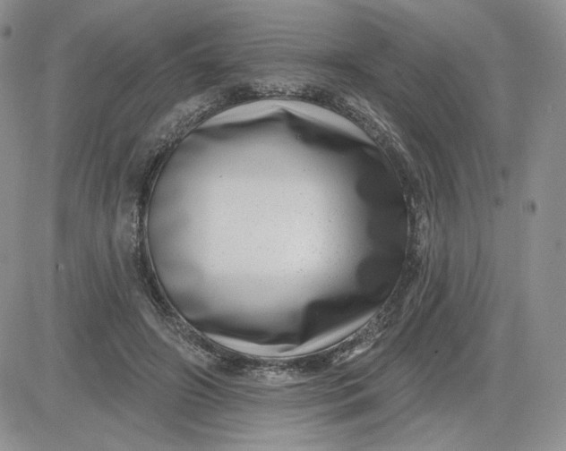 X0000081560498200701291153