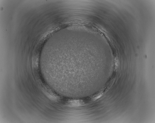 X0000081560499200701291153