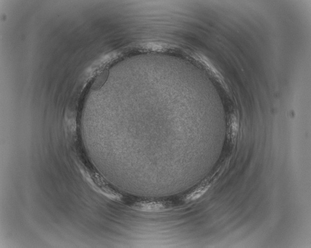 X0000081560500200701291153