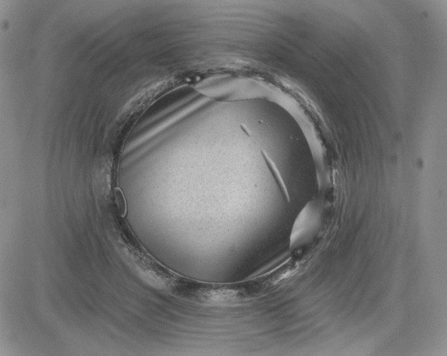 X0000081560501200701291153