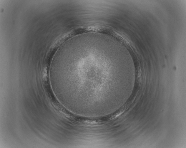 X0000081560502200701291153