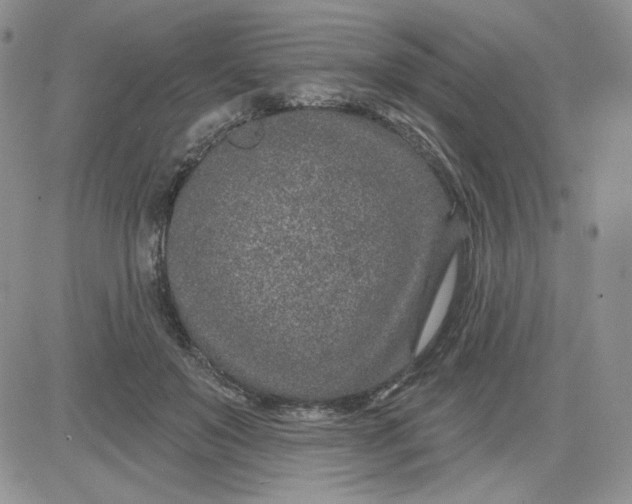 X0000081560503200701291153